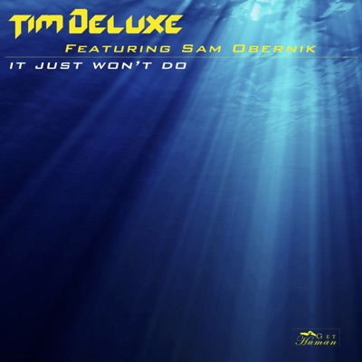 It Just Won't Do (feat. Sam Obernik) [Radio Edit] artwork