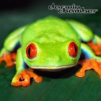 3D Frog Chorus Environment - Darwin Chamber