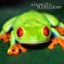 3D Frog Chorus Environment