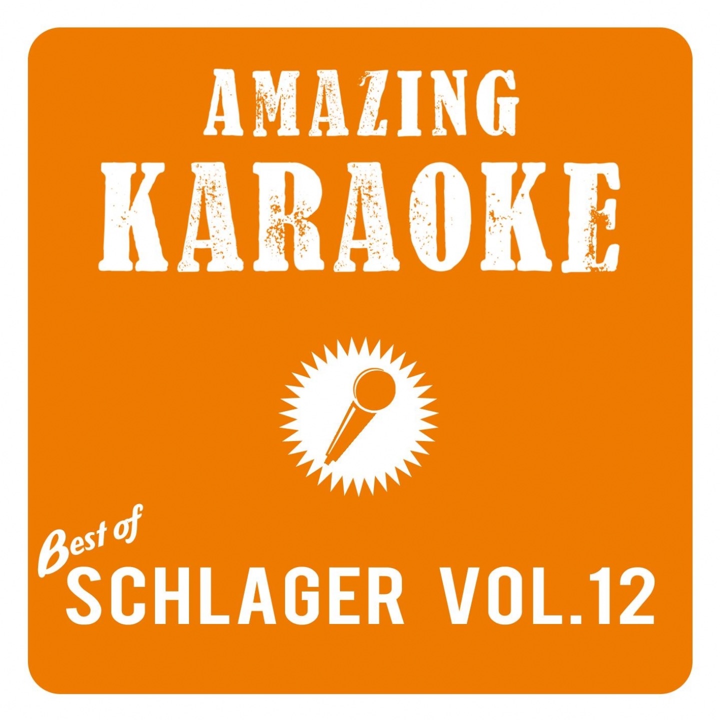 Amazing Karaoke - Best of Schlager, Vol. 12