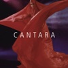 Cantara