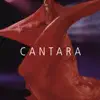 Anima