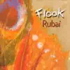 Flook - Larry