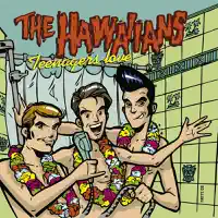 Hully Gully — The Hawaiians