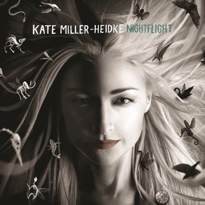 Nightflight - Kate Miller-Heidke