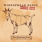 Widespread Panic - Pickin' Up the Pieces (Live) [feat. Branford Marsalis]