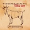 Pickin' Up the Pieces  [feat. Branford Marsalis] - Widespread Panic lyrics