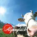 Ein neuer Tag