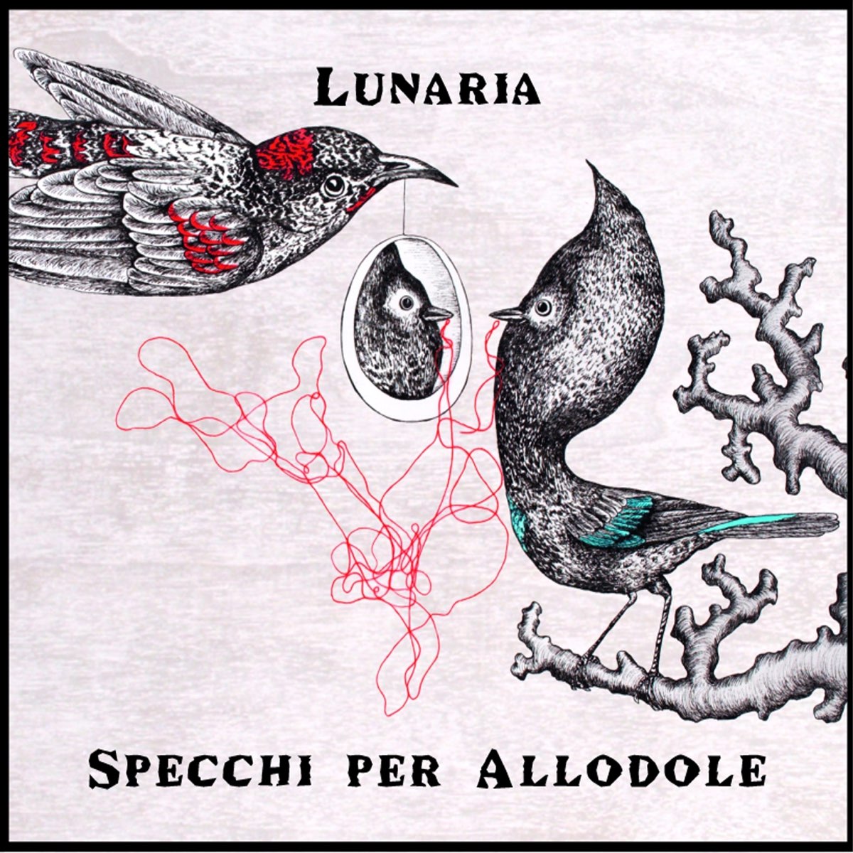 Specchi per allodole - Album di Lunaria - Apple Music