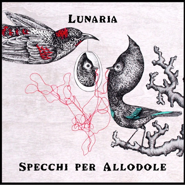 Lunaria