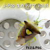 J-POP生カラオケ Vol. 14 - EP - P G BAND