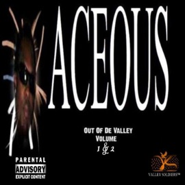 Burn In On (feat. Iceberg) Aceous