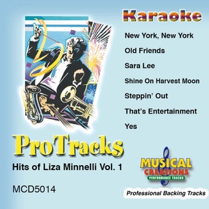 Karaoke - Hits of Liza Minnelli, Vol. 1