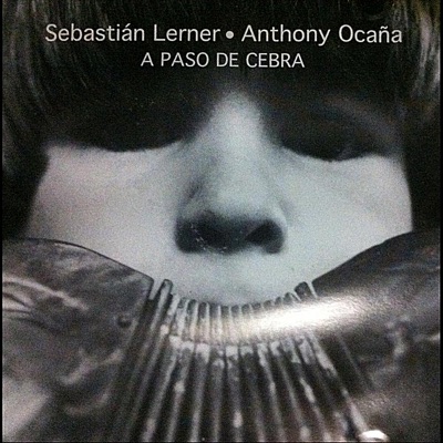 A Paso de Cebra