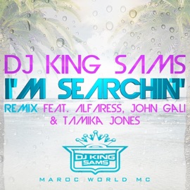 I'm Searchin' (Remix) [feat. Alfaress, John Gali & Tamika Jones] DJ King SamS