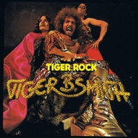 Tiger B. Smith - Tiger Rock