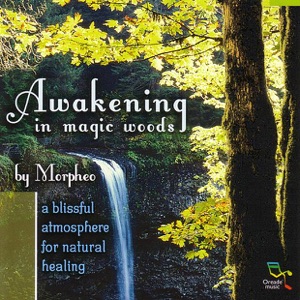 Awakening In Magic Woods