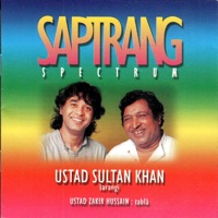 Saptrang (feat. Zakir Hussain) - Sultan Khan