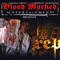 Say No More - The Rep