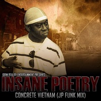Concrete Vietnam (JP Funk Mix) - Single - Insane Poetry