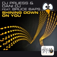 Shining Down On You (feat. Bruce Baps) [Remixes] - EP - DJ Pruess & Dani Dj