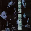 Energy Orchard - Walk In Love