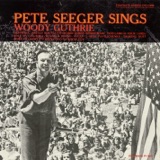 Deportees (Plane Wreck At Los Gatos) artwork