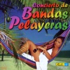 Banda Bajera De De San Pelayo