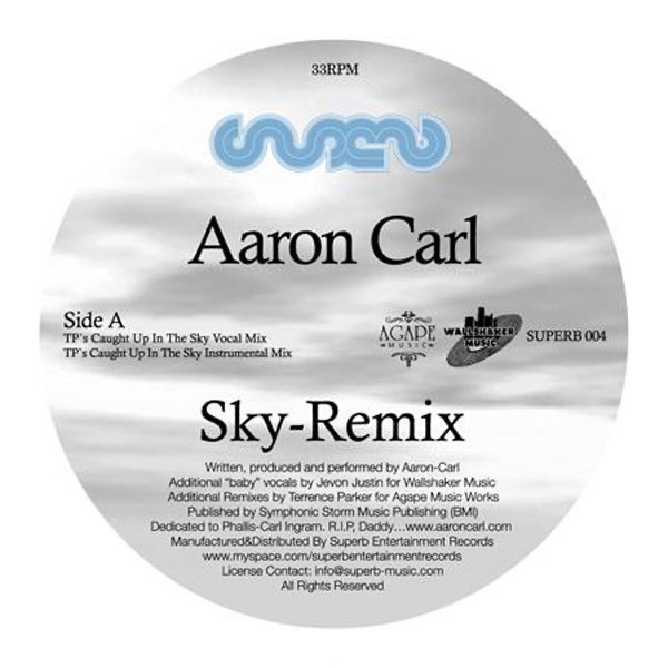Обложка альбома «Sky (Remixes) Incl. Osunlade and Terrence Parker Remix (Superb Entertainment)» — Aaron Carl