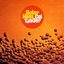 Solar Heat