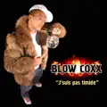 Je Suis Pas Timide - Original Remix