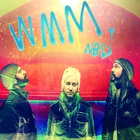 Wide Mouth Mason - More of It