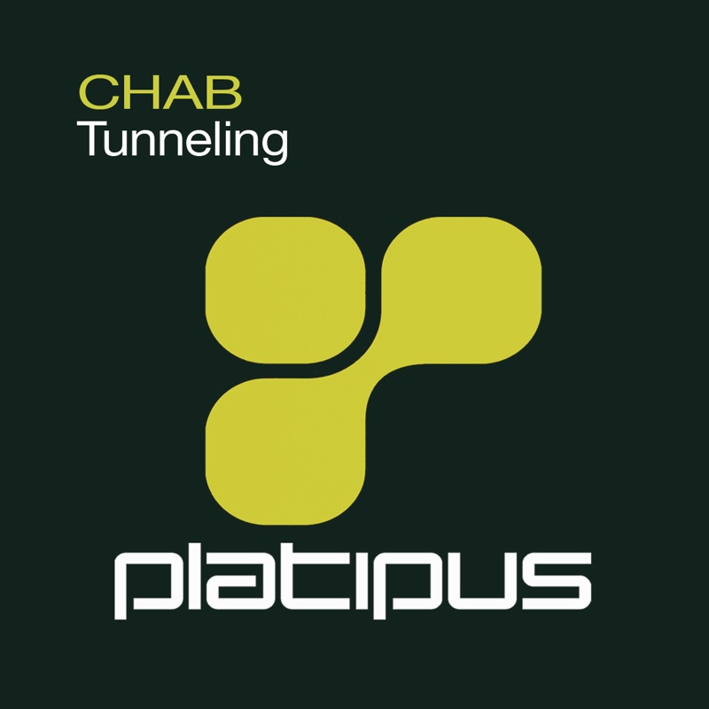 Album art for Tunneling