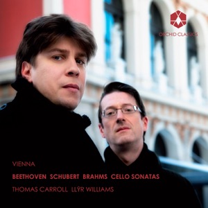 Arpeggione Sonata in A minor, D. 821 (arr. for cello and piano): II. Adagio -