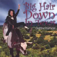 Big Hair Down in Texas — Debbie Watson