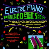 Electric Piano Playground - I Had Too Much To Dream Last Night