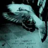 Vic Chesnutt - Warm