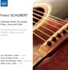 Jari Tarjasalo - Schwanengesang, D. 957 (Arr. J., K. Mertz): V. Aufenthalt