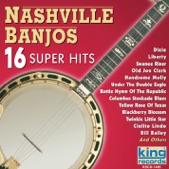 16 Super Hits: Nashville Banjos