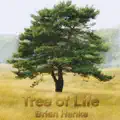 The Autumn Tree
