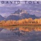 A Poor Wayfaring Man of Grief - David Tolk lyrics