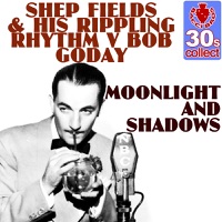 Moonlight And Shadows