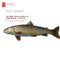 Piano Quintet in A Major, D. 667 ("The Trout") : IV. Theme and Variations: Andantino artwork