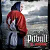 Pitbull - Fuego
