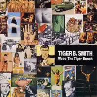 Help For A Blind Man — Tiger B. Smith