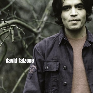 David Falzone - Morning Light - Line Dance Musik