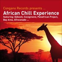 Congano Records presents...African Chill Experience - Various Artists