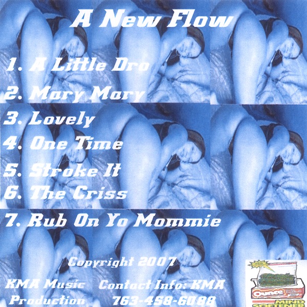 Cover of A New Flow