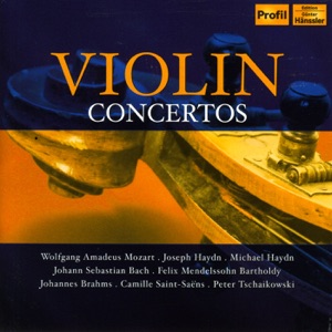 Violin Concerto in G major, Hob.VIIa:4: II. Adagio