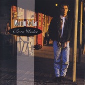 Martin Zellar - Falling Sky